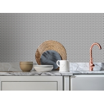 SAVVY - 1X1/11X12, SILVER, GLOSSY